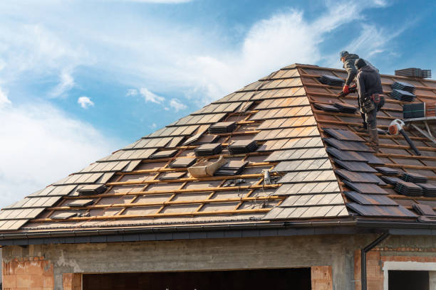 Best Roof Maintenance and Cleaning  in Gray, TN